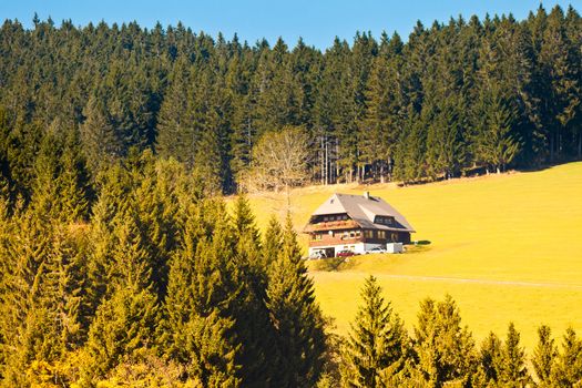 Farmland, historic farmhouse and forested hills in Black Forest, rural Germany.