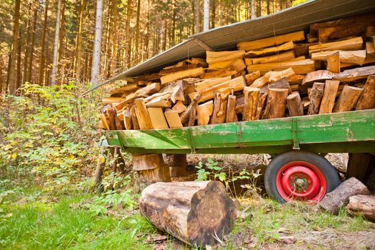 Old broken trailer overloaded with split firewood left in forest.