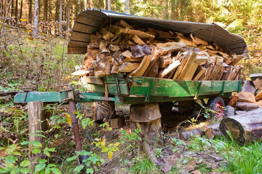 Old broken trailer overloaded with split firewood left in forest.