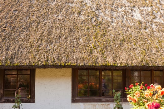 Detail of historic thatched roof farm house of Black Forest in rural Germany.