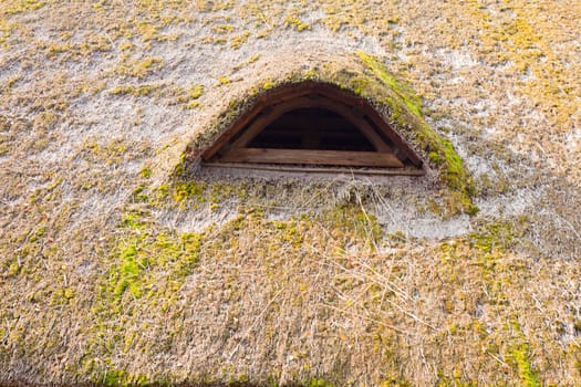 Detail of historic thatched roof farm house of Black Forest in rural Germany.