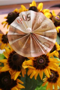 fifty euro note as a flower decorated