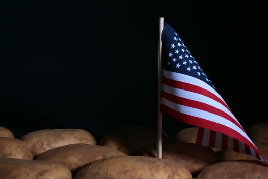 Potato and flag of the USA, as a symbol of the native land of a potato.