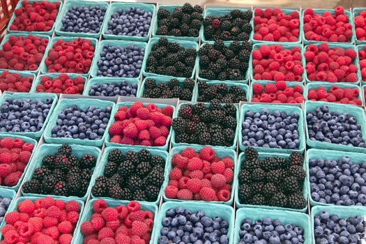 Blueberries, blackberries, and raspberries in cartons arranged for sale at farmers' market.