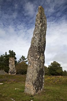 viking grave stone on a summer day