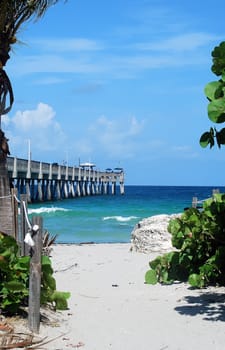 fishing pier on dania beach in florida a popular venue for blue collar fishermen