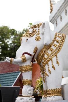 elephant white  in thai temple