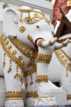elephant white  in thai temple