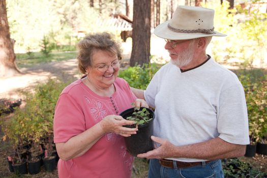 Attractive Senior Couple Overlooking Potted Plants at the Nursery.