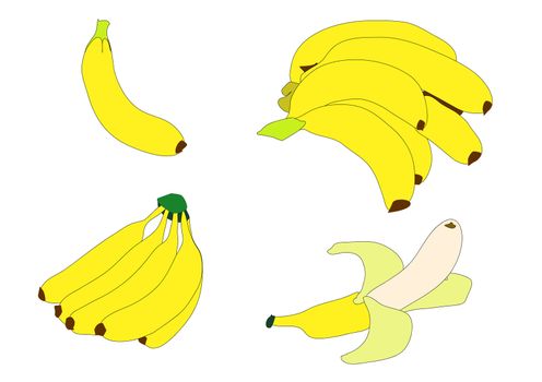 Illustration of various groupings of bright yellow bananas over white.