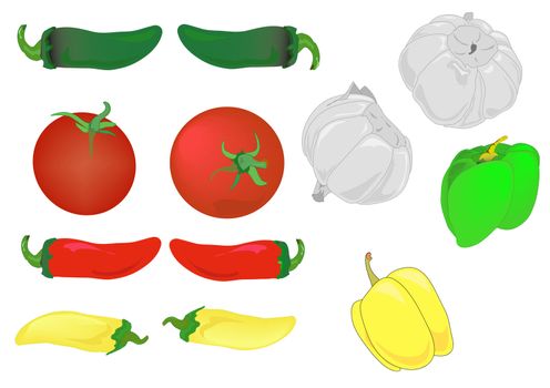 Illustration of red tomatoes, garlic and hot and bell peppers.