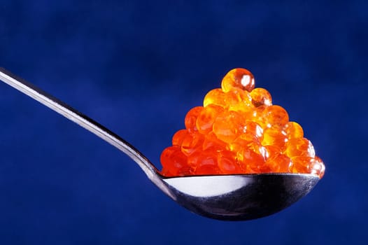 Red caviar in the spoon on a dark blue background