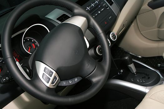 Sterring wheel in interior of the new car