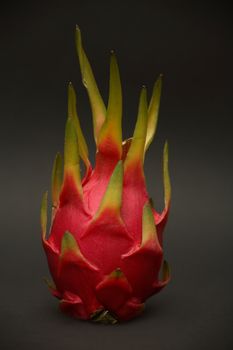 The rare Dragon Fruit on a dark background.