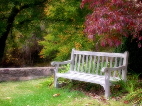 A bench in a park on autumn/fall season, soft focus