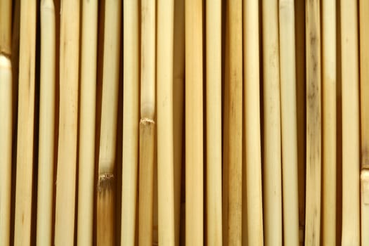 Bamboo vertical pattern, suitable for background