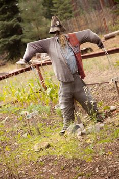 A Classic Scarecrow and Quaint Garden Setting.