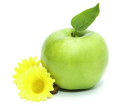 Photo of a ripe green apple, Photo of a ripe green apple