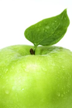 Photo of a ripe green apple, Photo of a ripe green apple