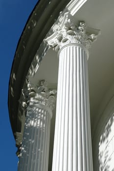 Corinthian column in Saski Garden, Warsaw.