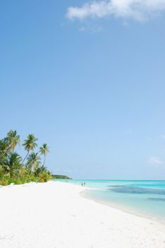 beautiful scene beach in a Maldivian Island