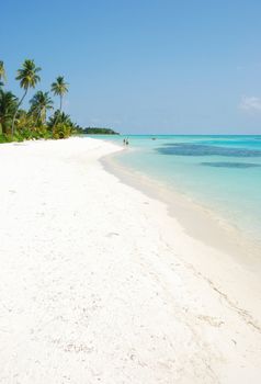 beautiful scene beach in a Maldivian Island