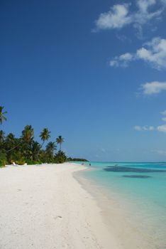 beautiful scene beach in a Maldivian Island