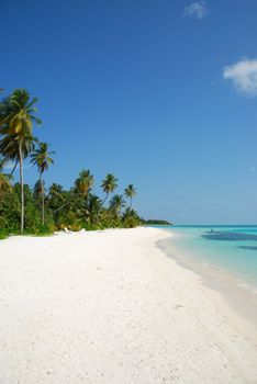 beautiful scene beach in a Maldivian Island