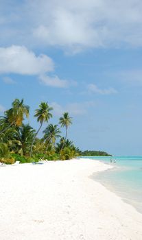 beautiful scene beach in a Maldivian Island