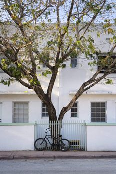 A bicycle and tree sit in front of an art-deco building in Miami, Florida.