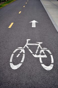 Reserved bicycle lane painted on asphalt