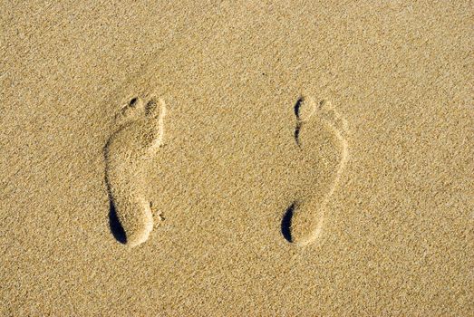 foot steps on the beach sand