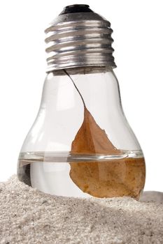 Dry brown leaf in a light bulb on sand.