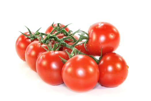 a panicle vine tomatoes on a white background
