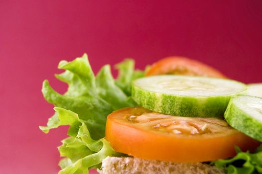 healthy vegetarian sandwich 