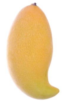 Isolated macro image of a Waterlily Mango.