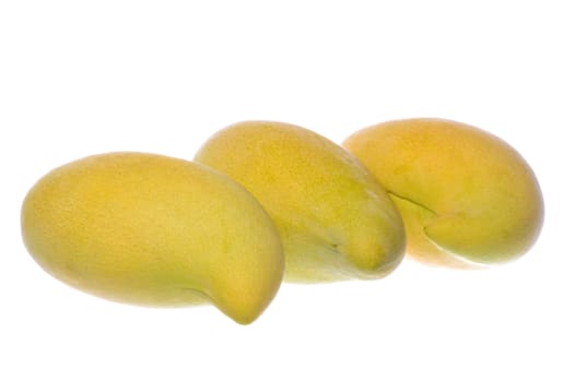 Isolated macro image of Waterlily Mangoes.