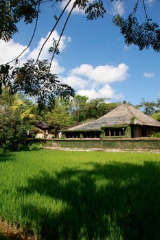 Balinese cottage overlooking rice fields - travel and tourism.
