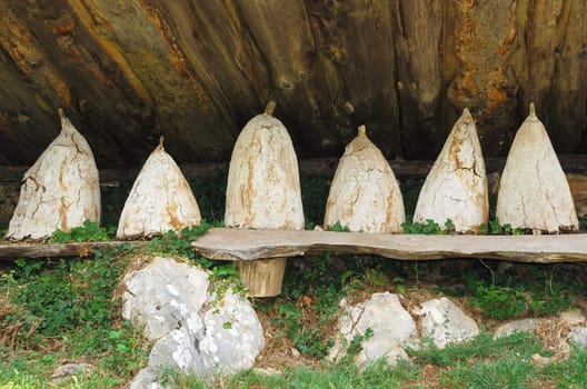 Row of vintage beehives in Serbia.