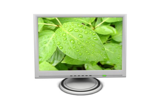 flat screen lcd computer monitor with a green status led and green leaf with morning dew on screen