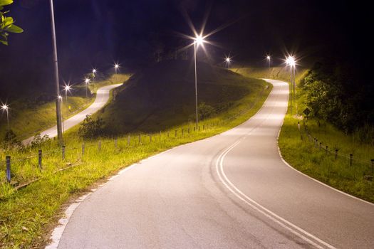 Image of a Malaysian country road at night.