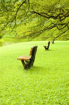 empty chairs beside lake garden 