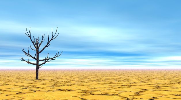 Dead tree in yellow dry desert with little clouds and blue sky