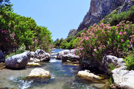 Travel photography: Preveli river, summer destination in Southern Crete