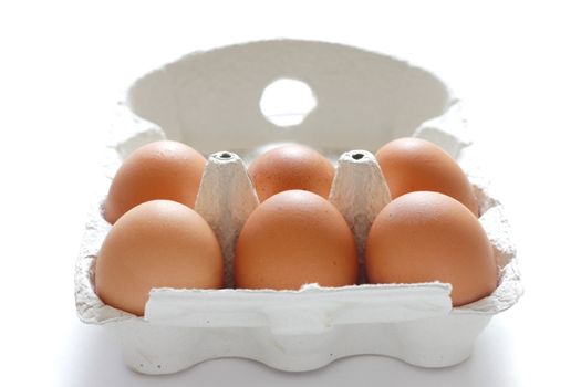 Eggs in an egg carton