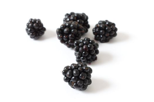 A bunch of healthy blackberries