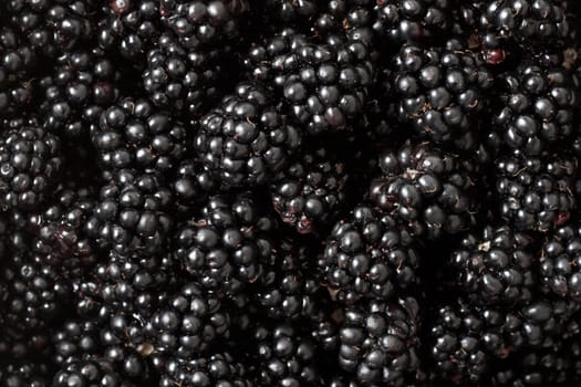 Zoomed in on blackberries all over