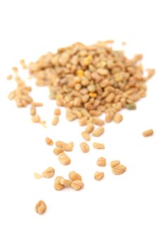 Fenugreek seeds isolated on white