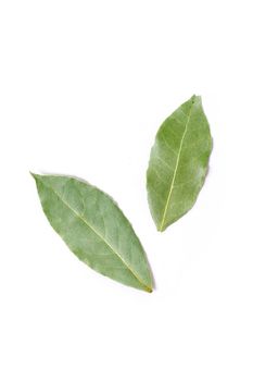 Isolated bay leaves on a white background