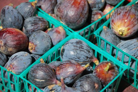 Black Figs in the Farmers Market on a Sunny Day